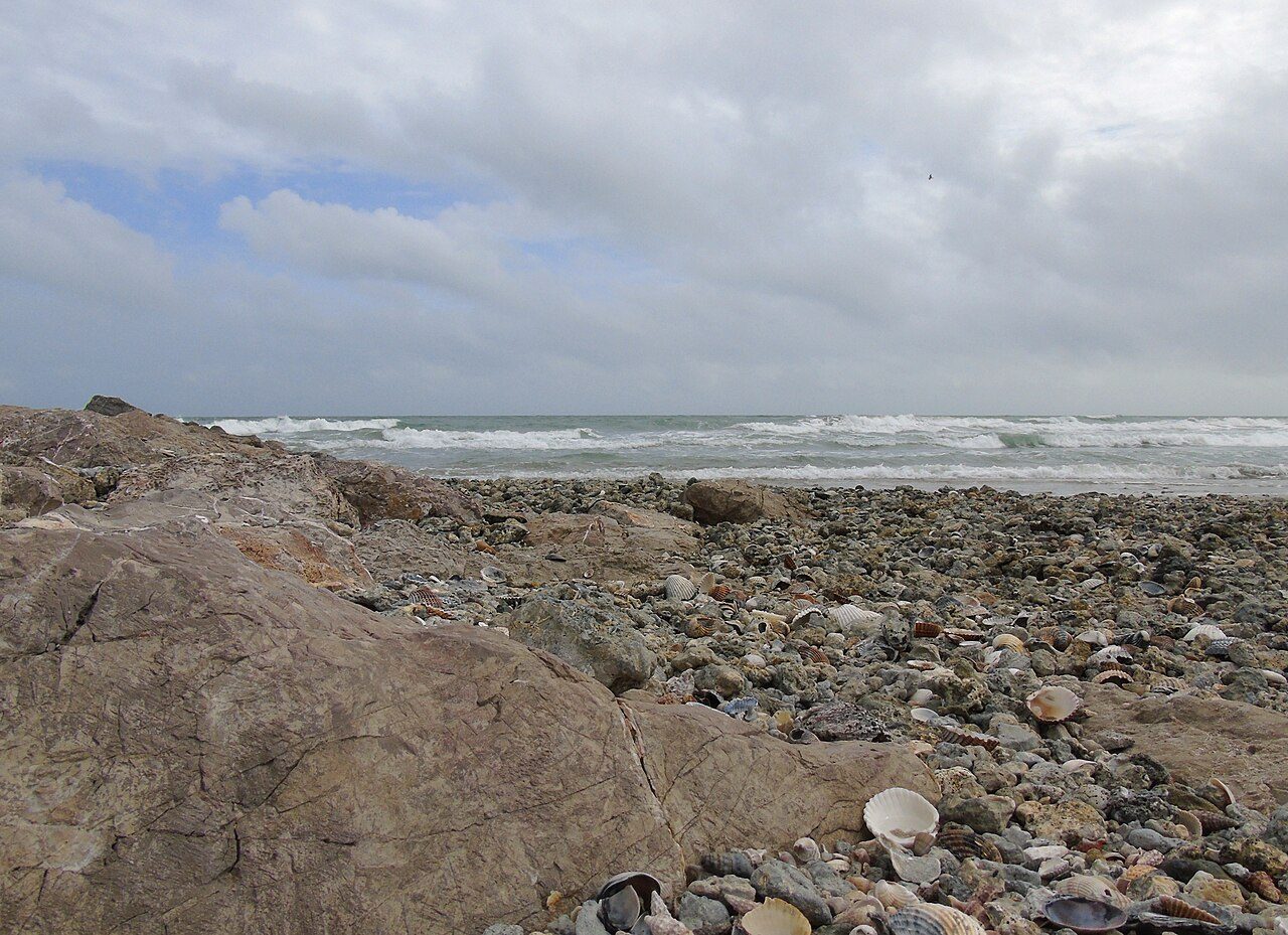 PLAGE DES ARESQUIERS à Vic-la-Gardiole