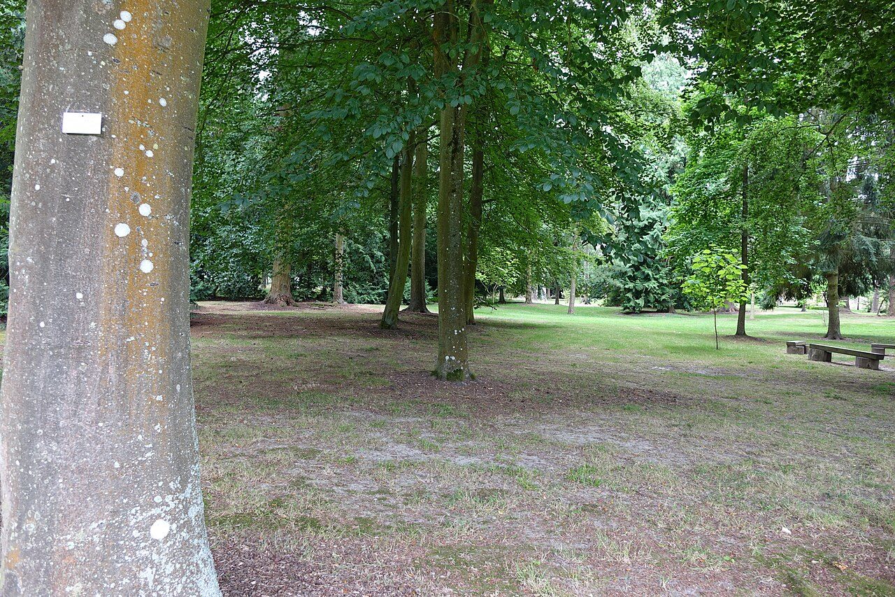 Arboretum d'Harcourt à Harcourt