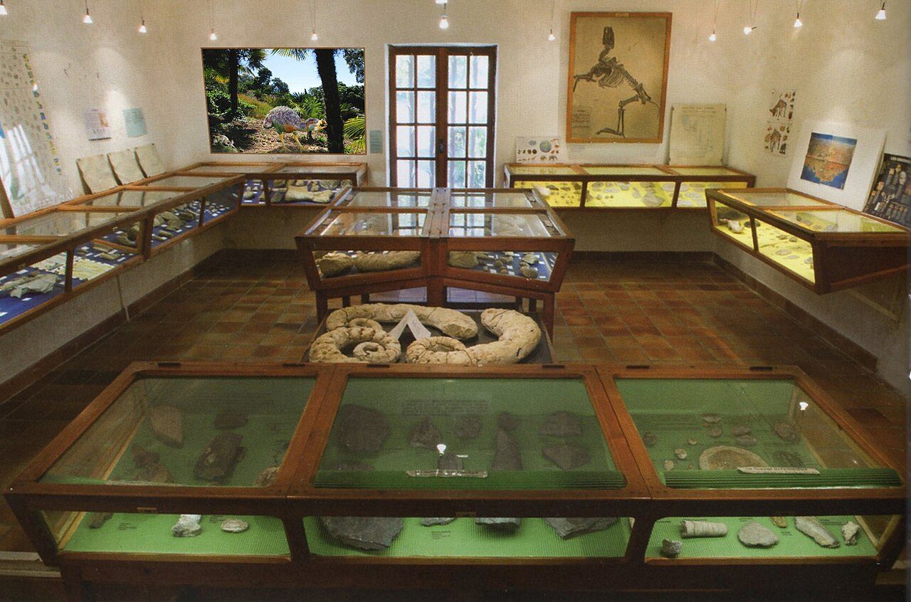 Musée des fossiles Victor Zaneboni