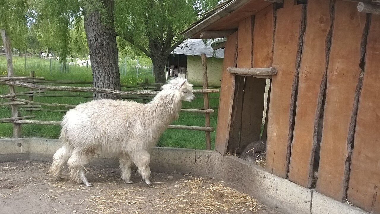 La Ferme Exotique à Cadaujac