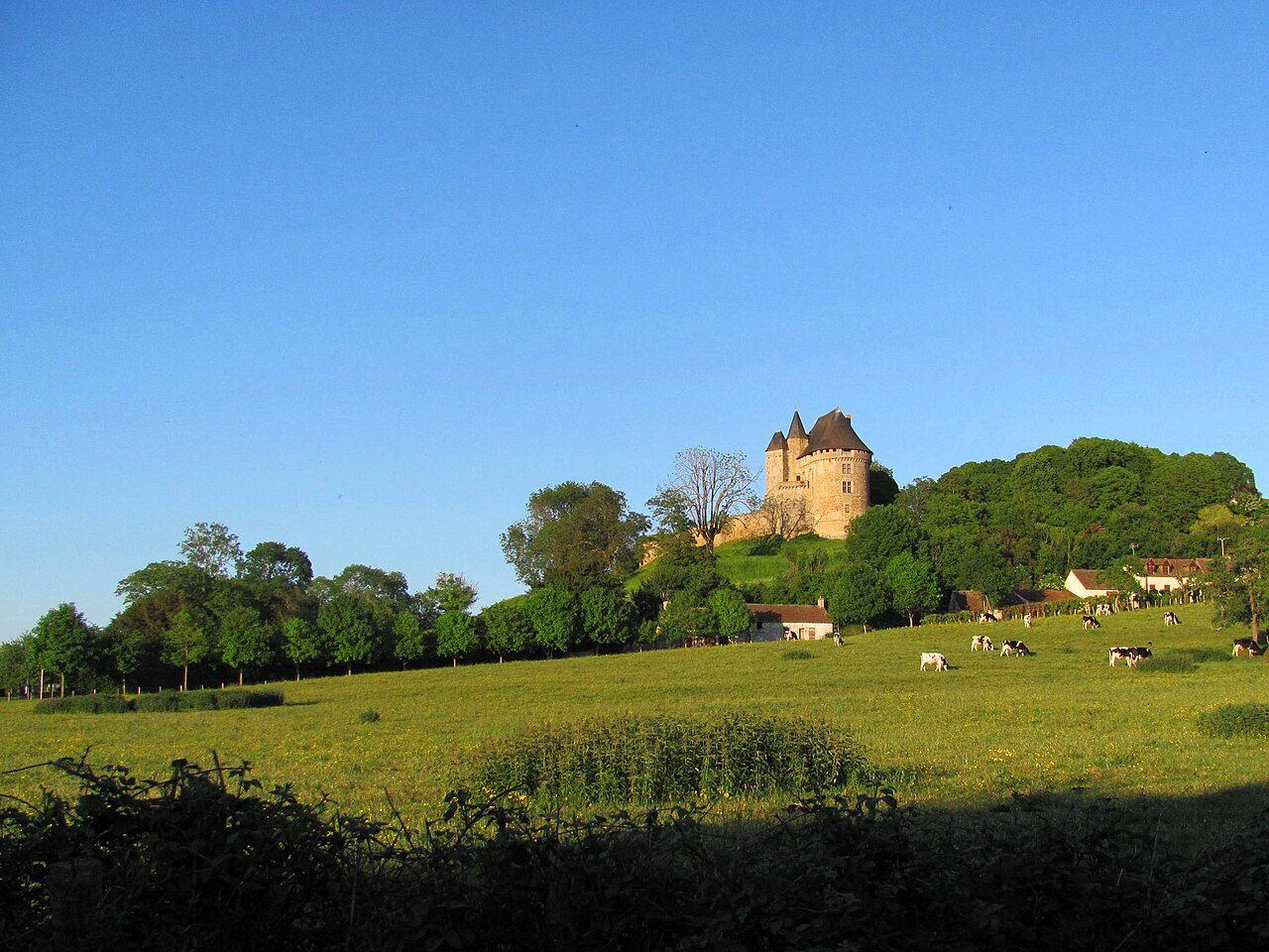 Donjon de Ballon à Ballon-Saint Mars