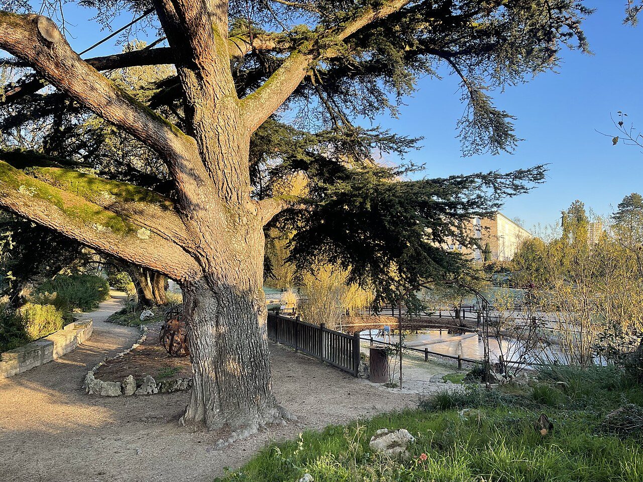 Jardin géo-botanique - Parc Georges Nouelle