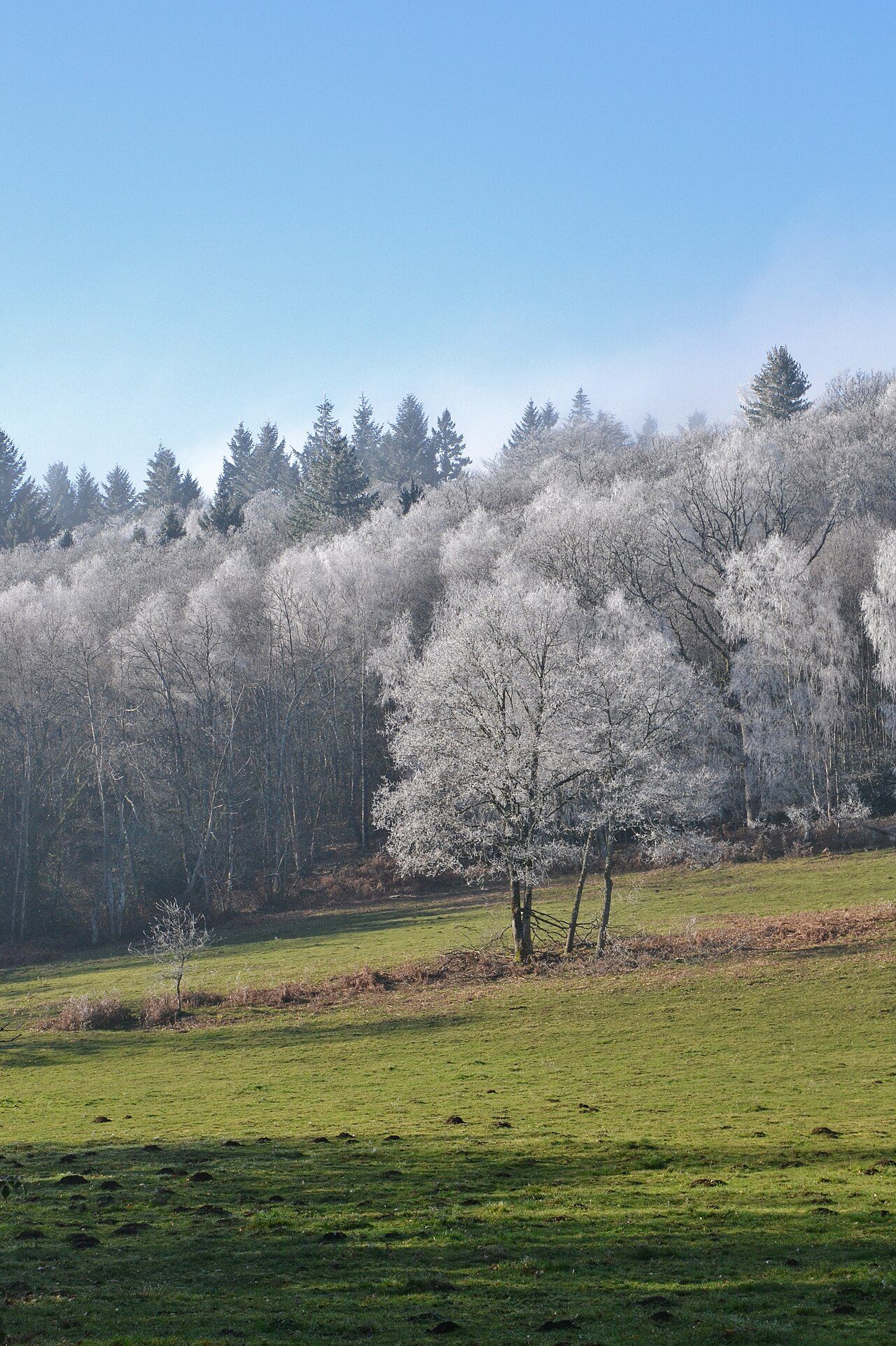Les Monts de Blond à Blond