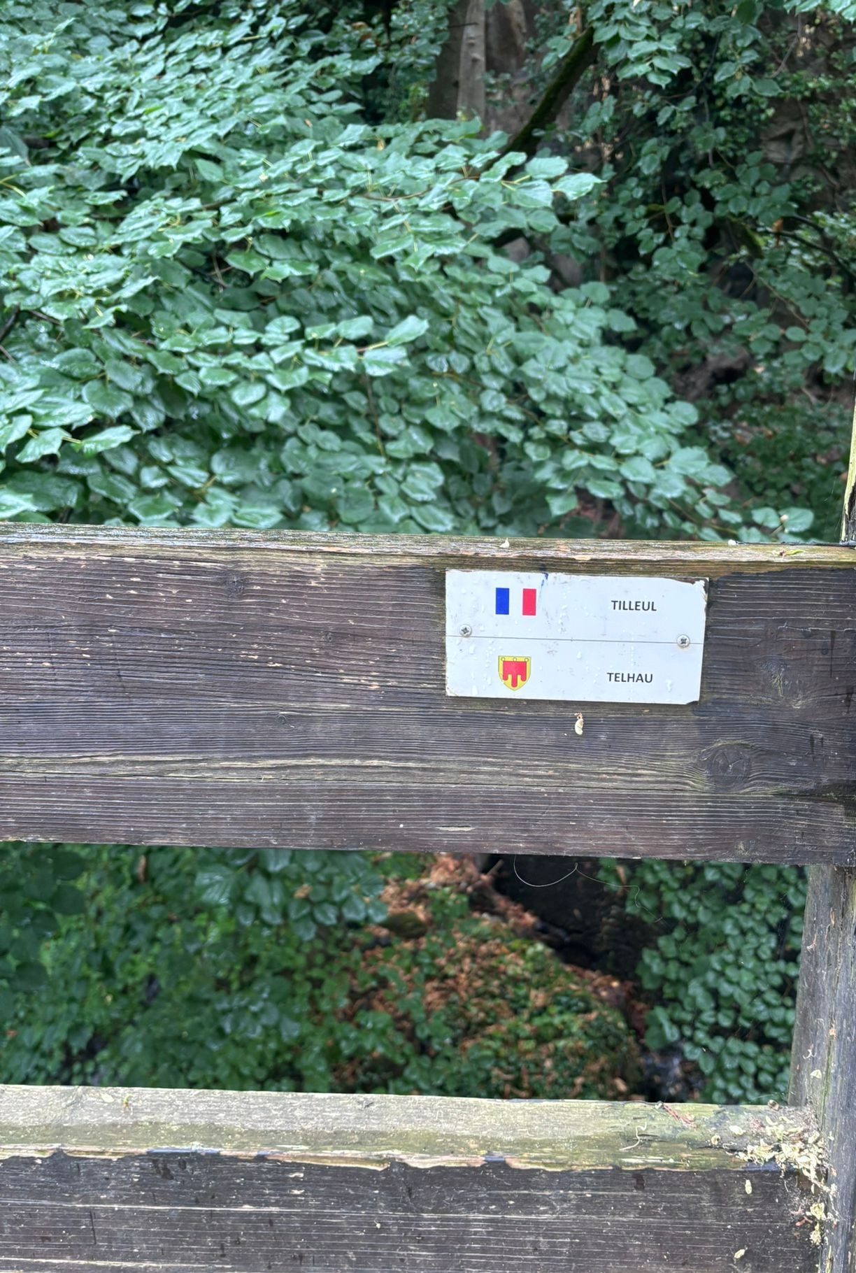 Parc Thermal à Royat