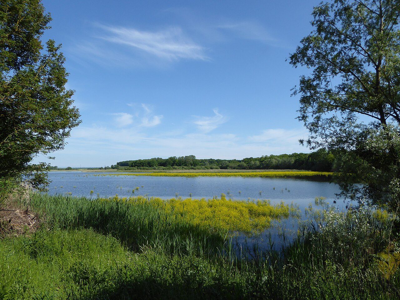Réserve naturelle régionale de l'étang d'Amel à Amel-sur-l'Étang