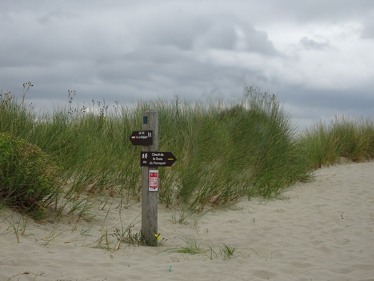 La Dune Perroquet