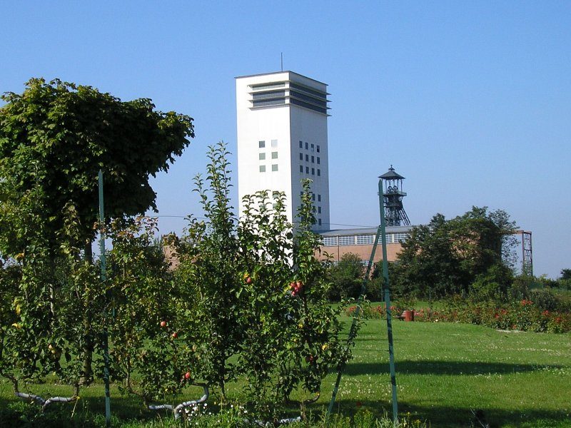 Le Loos Parc à Loos-en-Gohelle