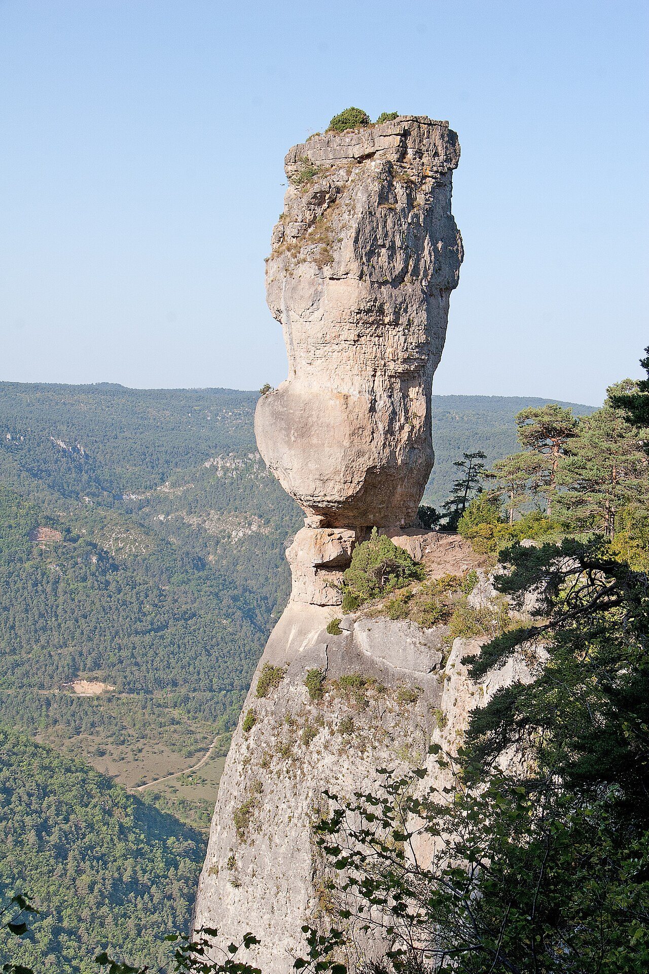VASE DE SEVRES à Le Rozier