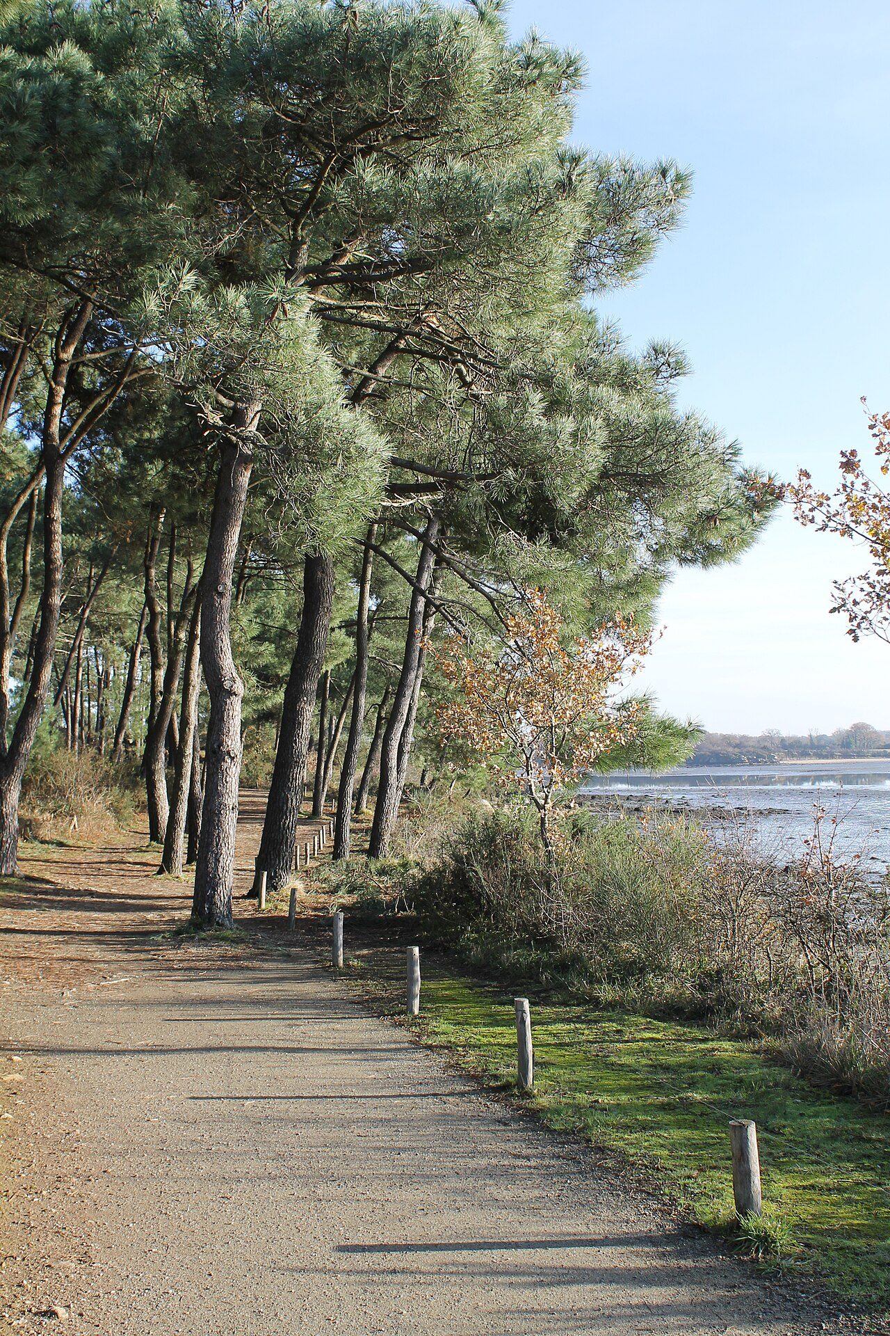 Pointe des Emigrés à Vannes