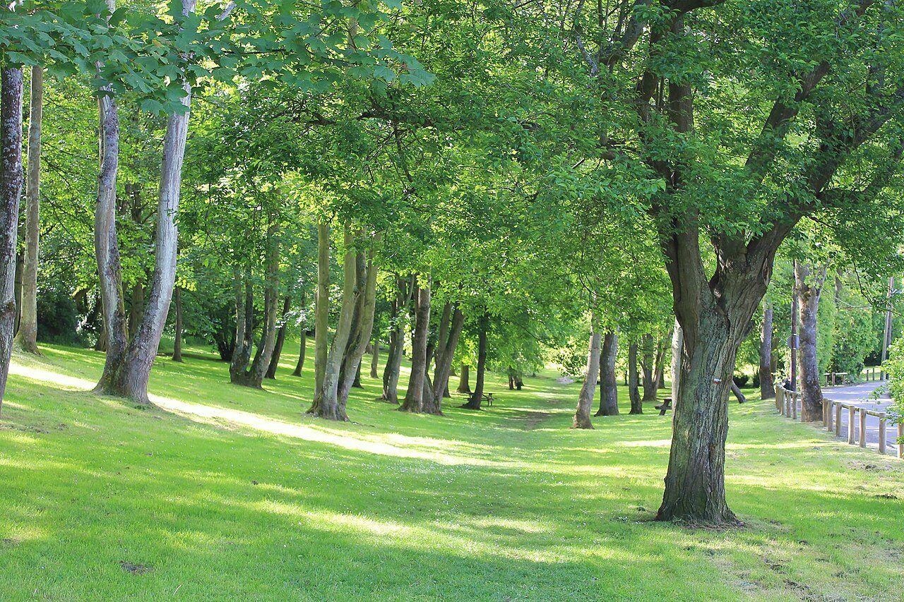 Vallée des Jardins