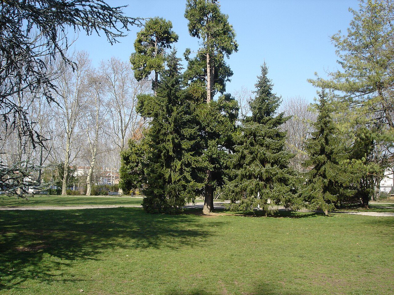 Parc Bazin à Lyon 3e Arrondissement