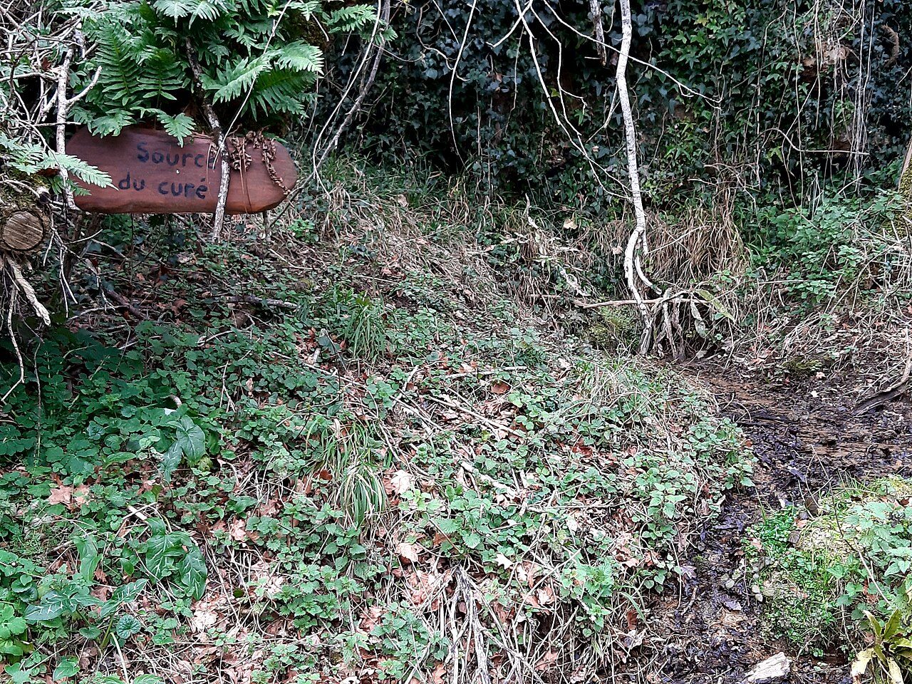 Site de Castets à Bougue