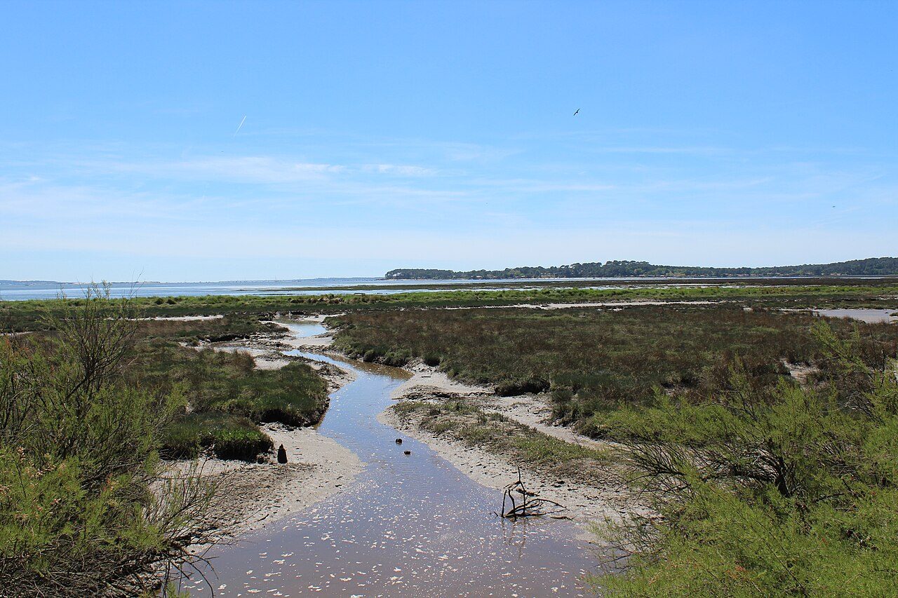 Réserve naturelle nationale des Prés salés d'Arès - Lège Cap Ferret à Arès