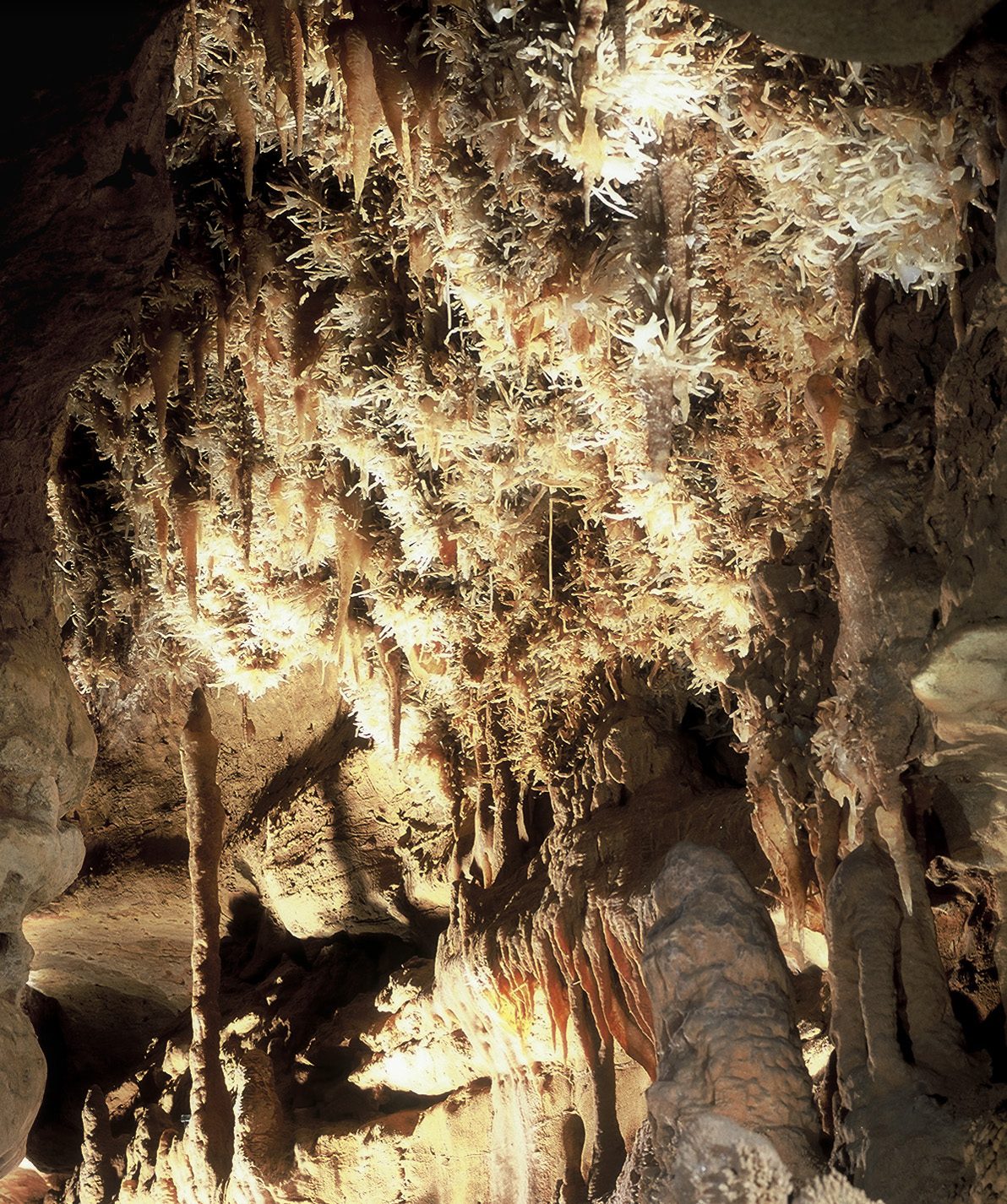 Grotte de Maxange à Le Buisson-de-Cadouin