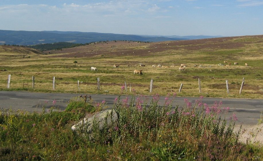 COL DE FINIELS à Pont de Montvert - Sud Mont Lozère