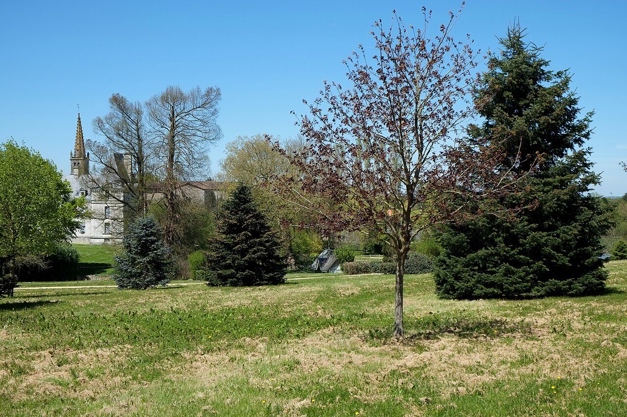 Jardin des Abiès à L'Absie