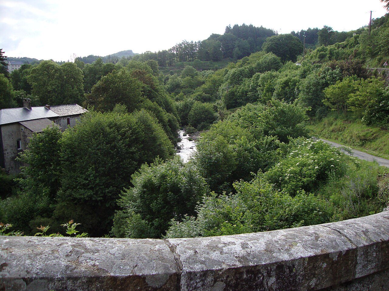L'AGOUT à La Salvetat-sur-Agout