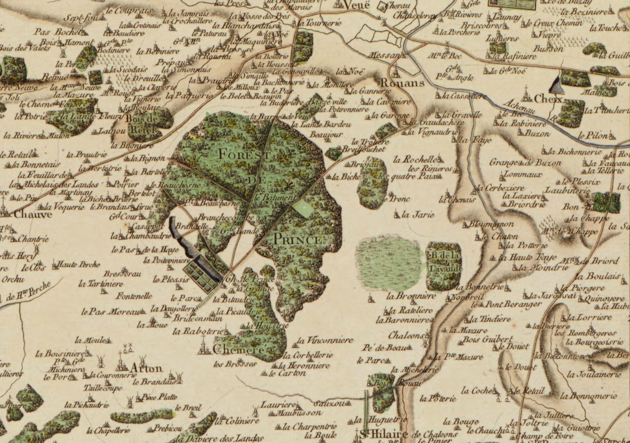 La forêt de Princé à Chaumes-en-Retz