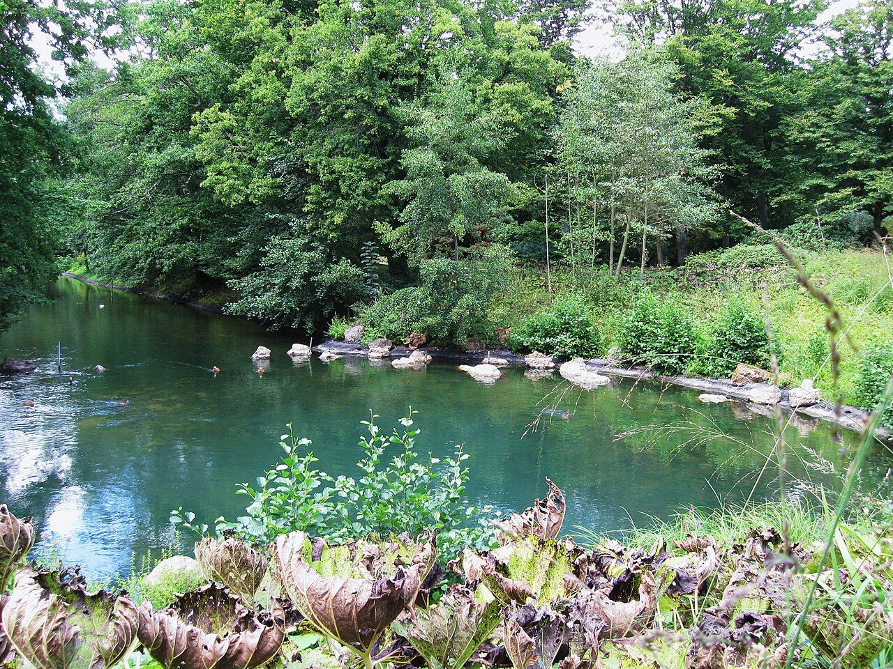 Parc Floral de La Source à Orléans
