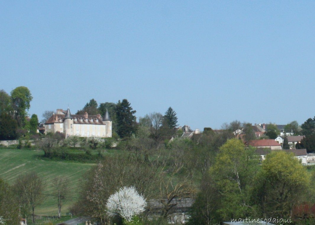 Château de Saint-Gérand-le-Puy à Saint-Gérand-le-Puy