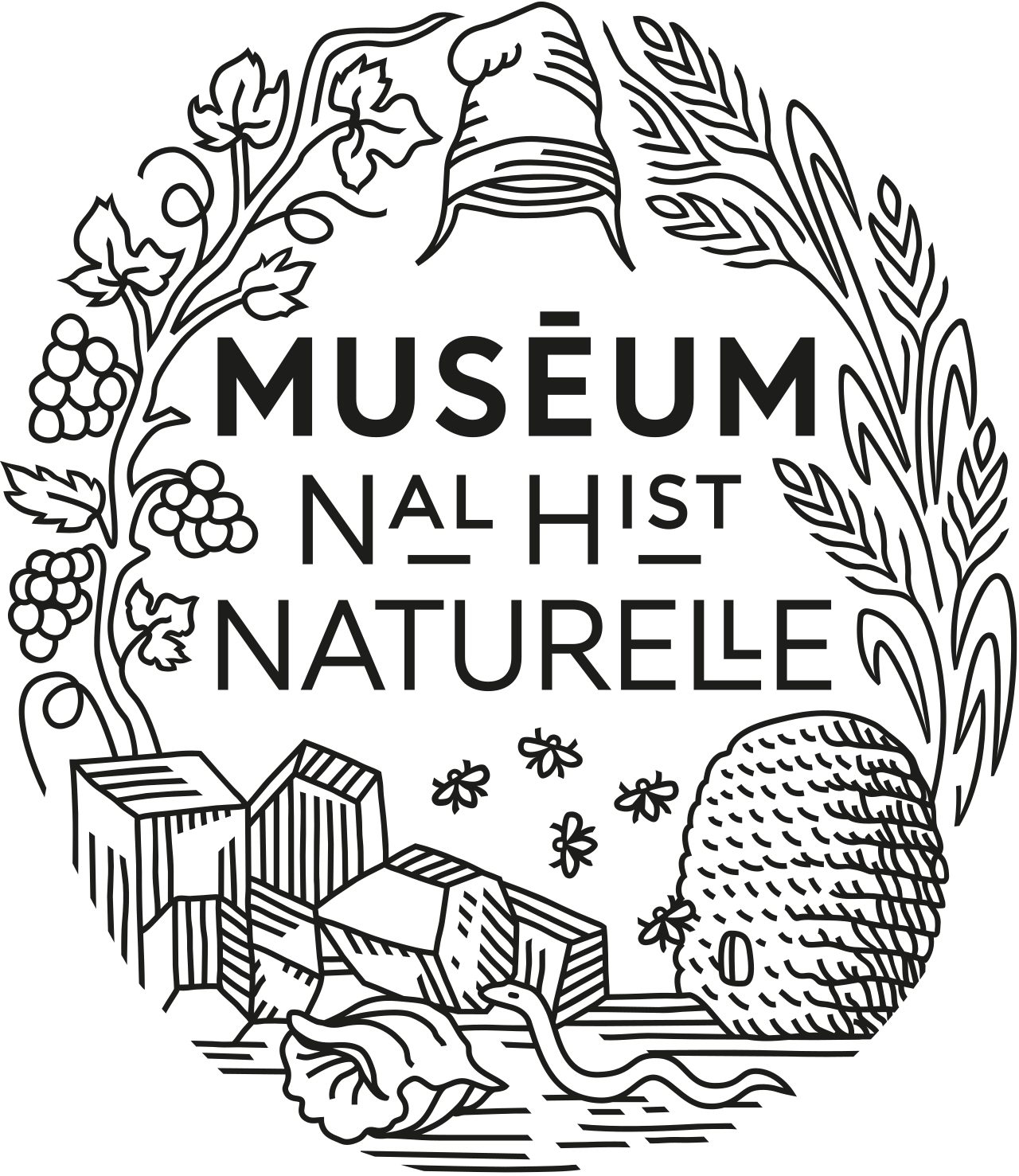 Musée de l’Homme - Muséum national d'histoire naturelle à Paris