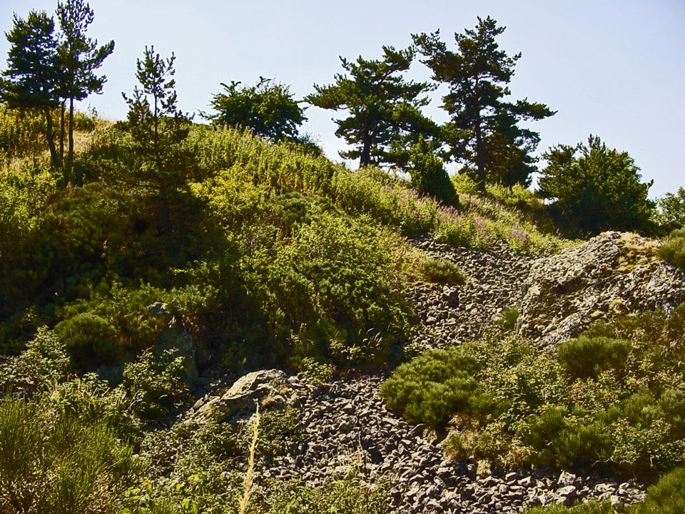 Le Camp d'Antoune à Salettes