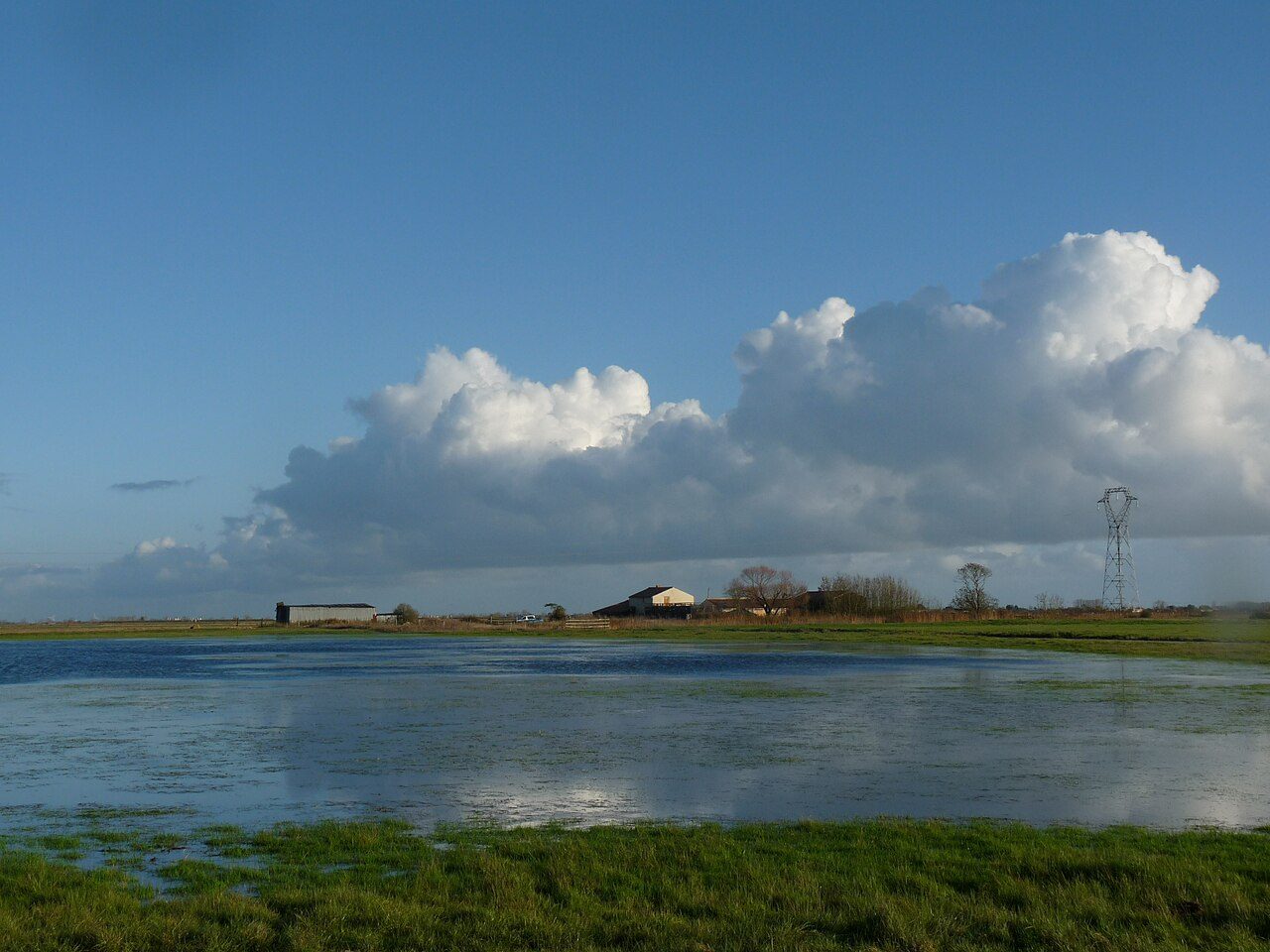 Observatoire du Marais de la Vacherie à Champagné-les-Marais