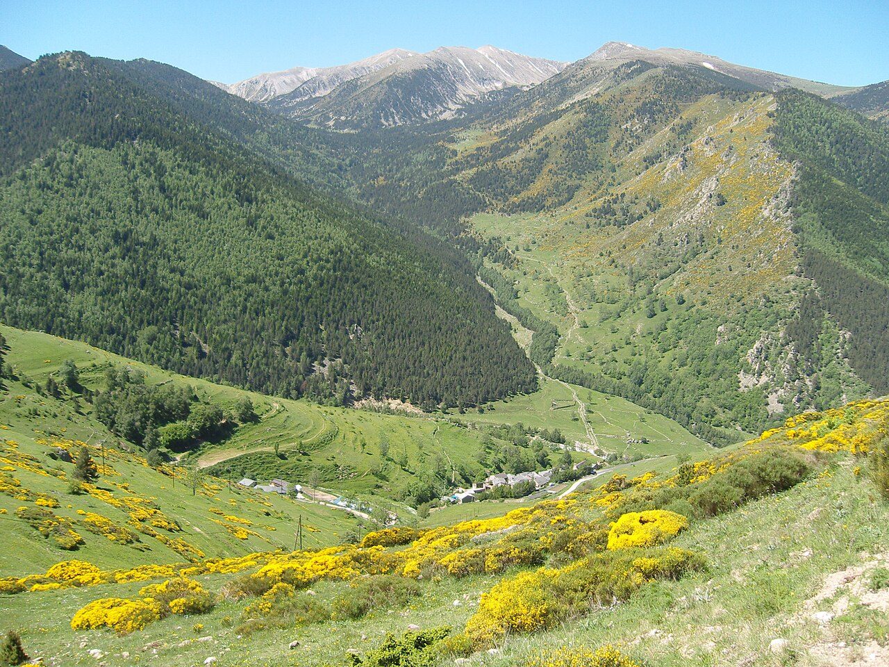 RESERVE NATURELLE DE MANTET à Mantet