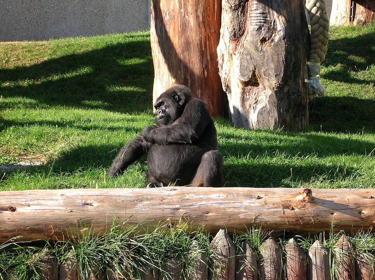 Espace Zoologique de Saint-Martin-la-Plaine à Saint-Martin-la-Plaine